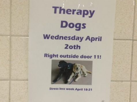 What’s in store at Oakton for Mental Health Awareness Week