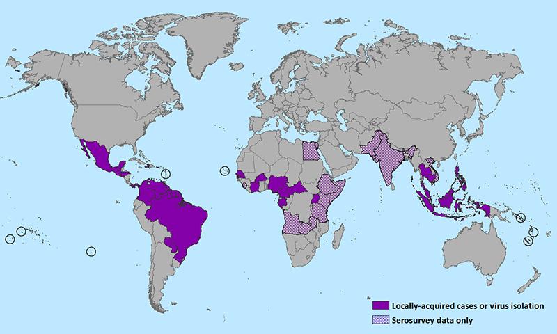 Zika virus outbreak