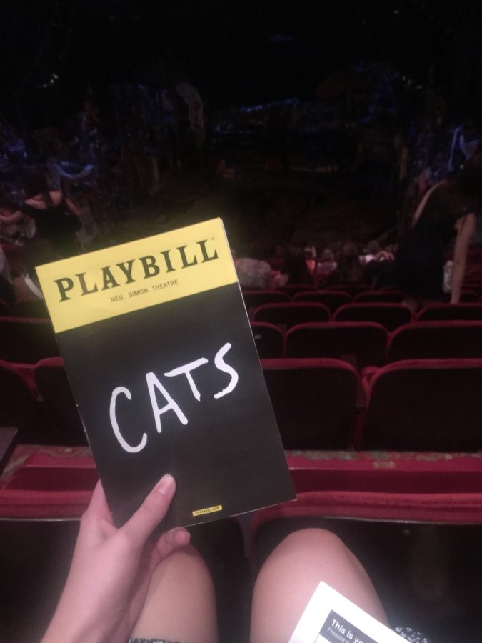 The Jellicle Cats are back