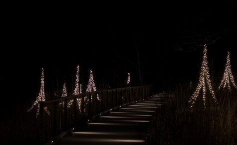 Longwood Gardens - A Walk in the Dark