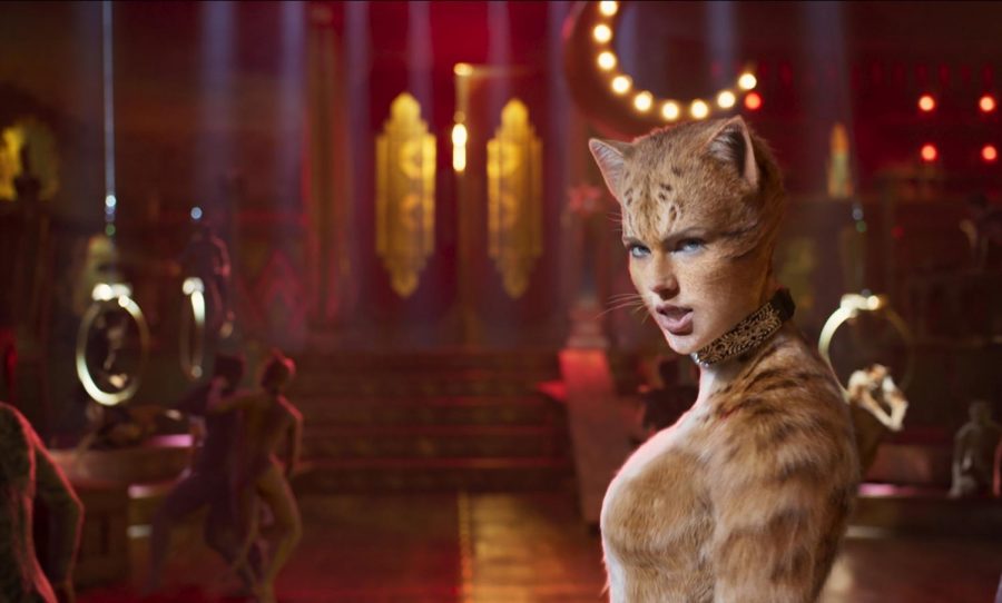 In Defense of Cats: Movie Review