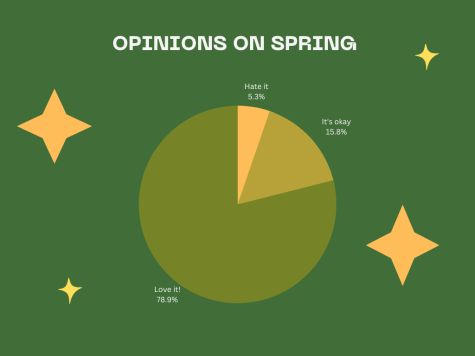 Opinions on Spring from students at Oakton